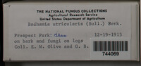 Image Associated With the Occurence